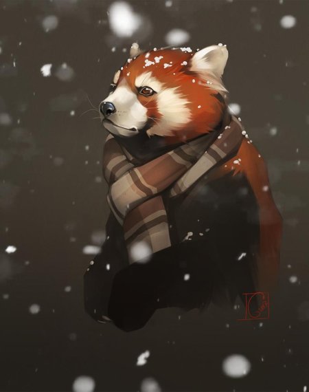 Малая панда арт