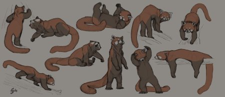Референсы для художников животные