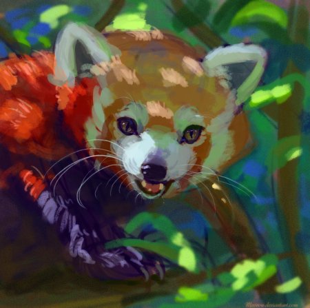 Красная панда арт