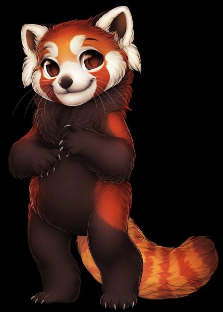 Наоми лорд красная панда