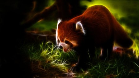 Малая панда (ailurus fulgens