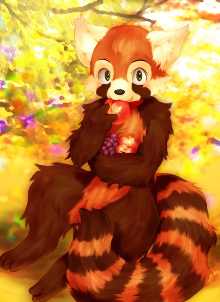 Красная панда аниме