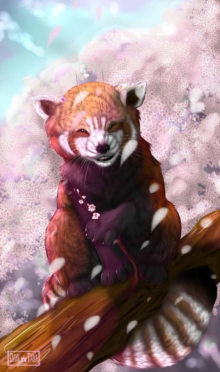 Красная панда арт