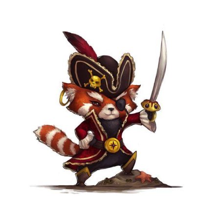 Панда пират