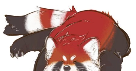 Про красную панду