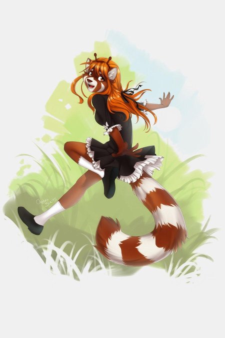 Фурри красная панда