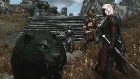 Скайрим расы каджиты