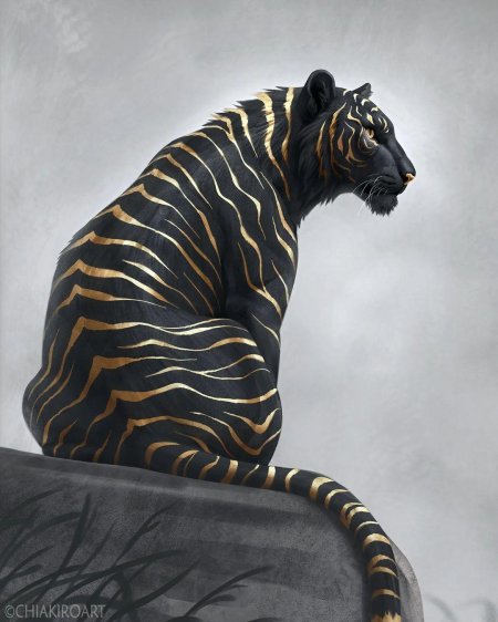 Черные тигры