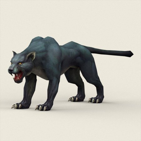 Пантера чёрная d