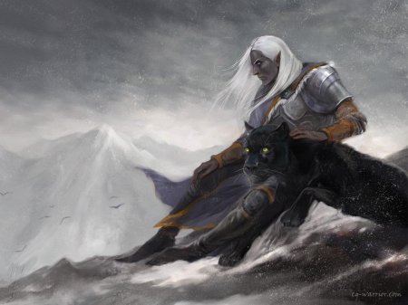 Темный эльф дзирт до'урден