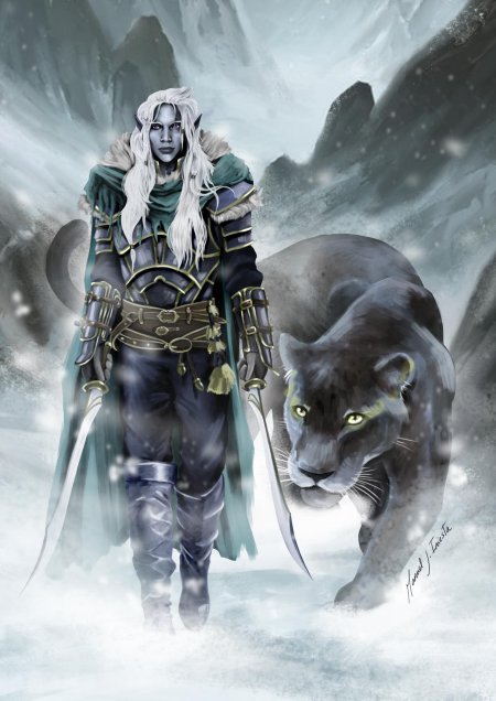 Темный эльф дзирт