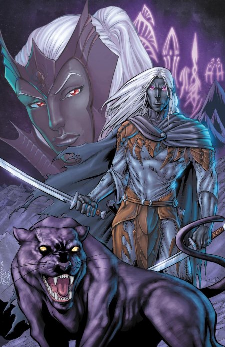 Темный эльф дзирт до'урден