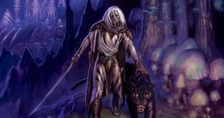 Дриззт до’урден