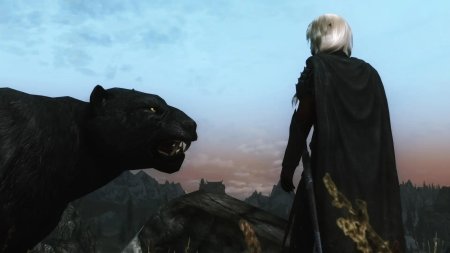 Темный эльф дзирт до'урден