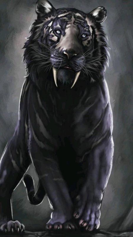 Чёрный саблезубый тигр