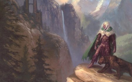 Темный эльф дзирт до урден