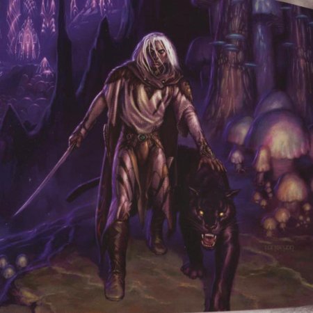 Темный эльф дзирт до'урден