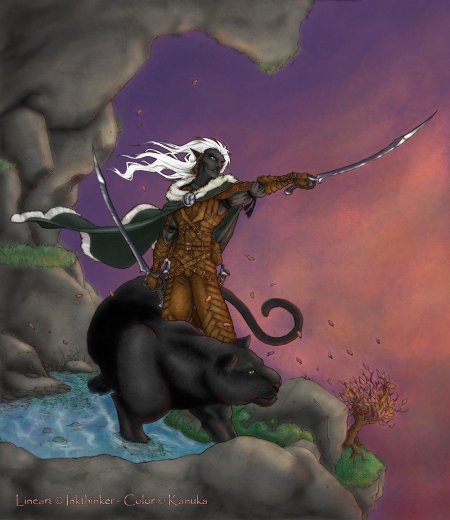 Темный эльф дзирт до'урден