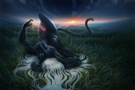 Темный эльф дзирт до'урден