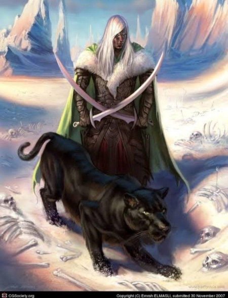 Забытые королевства дзирт