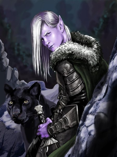 Темный эльф дзирт