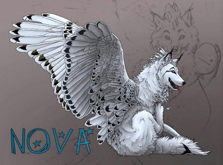 Волки с крыльями