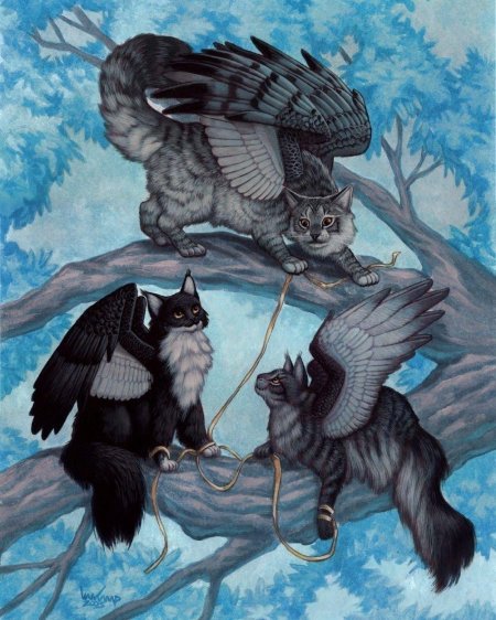 Крылатые коты