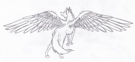 Раскраски волков с крыльями