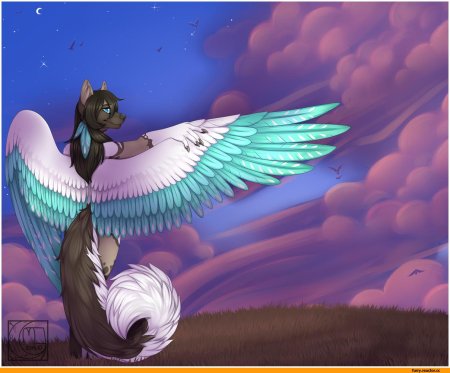 Симуран крылатый волк