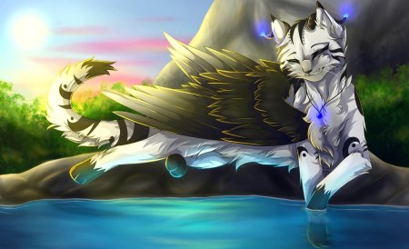 Коты воители с крыльями