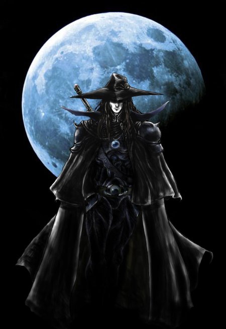 Vampire hunter d