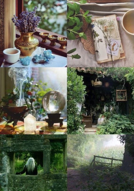 Эстетика лесной ведьмы травницы