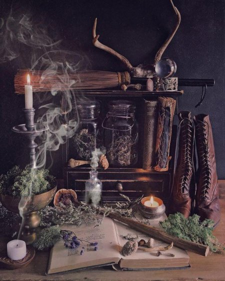 Лесная ведьма травница эстетика