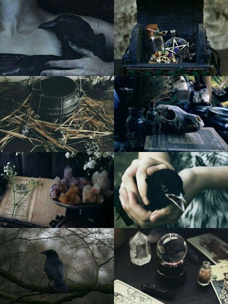 Ворона эстетика