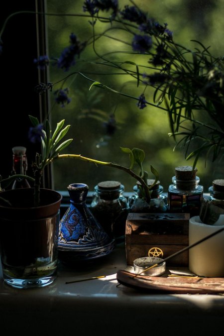 Обитель лесной ведьмы травник