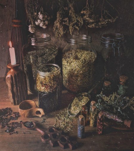 Лесная ведьма травница эстетика