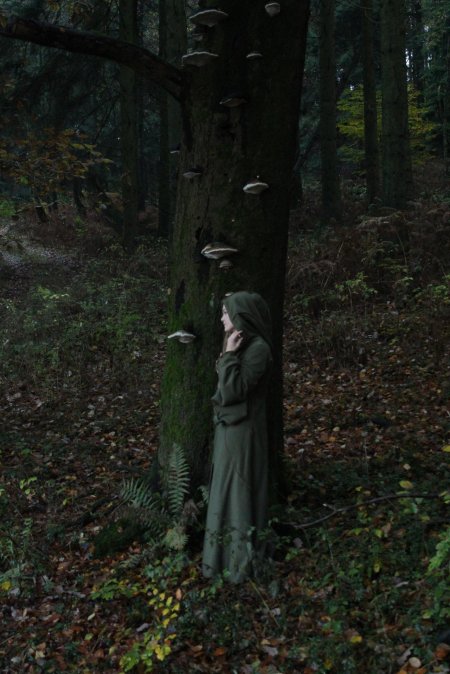 Ведьма в лесу