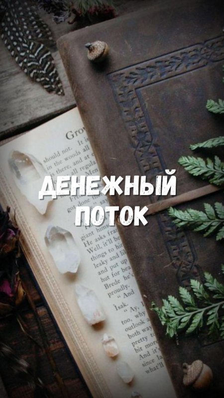 Обитель лесной ведьмы