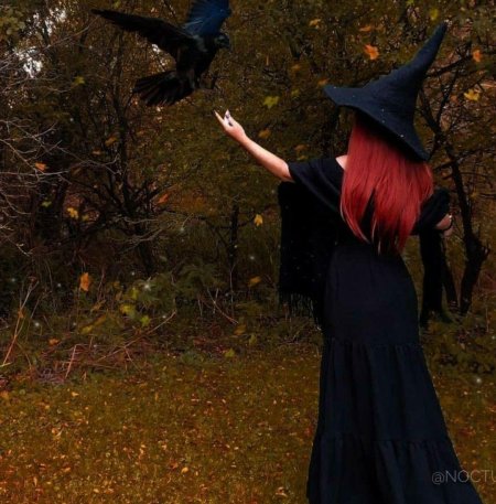 Ласковая ведьма