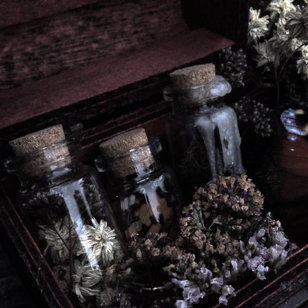 Эстетика лесной ведьмы травницы