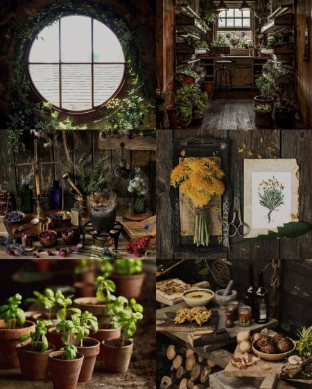 Эстетика лесной ведьмы травницы
