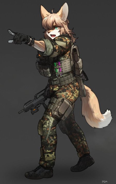 Pgm furry military