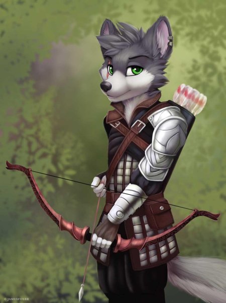 Фурри средневековье