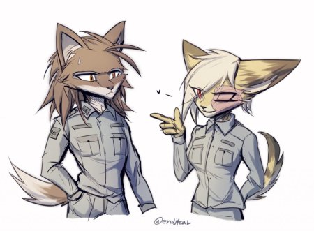 Фурри пилот