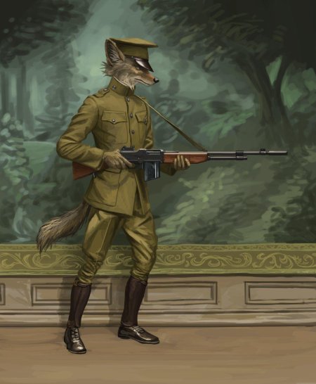 Фурри генерал ww