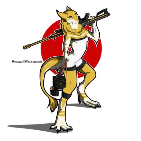 Фурри сергал солдат