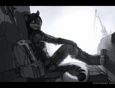 Фурри сталкер монолит