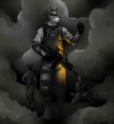 Фурри сталкер