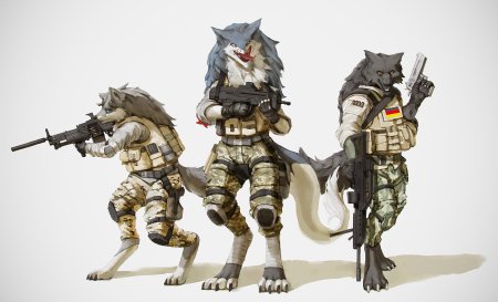 Фурри милитари