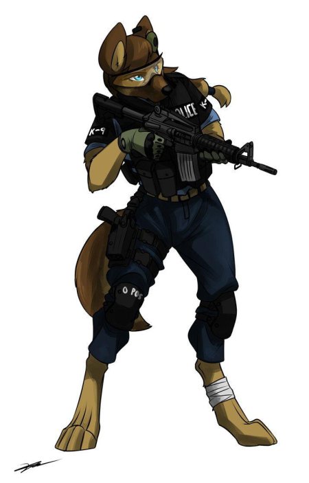 Фурри солдат